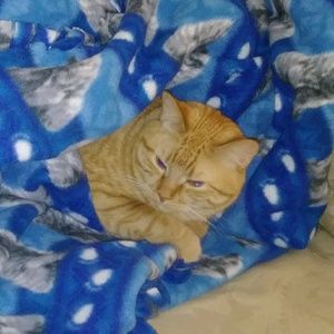 Meet your Posher, Cathie